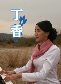 一区二区三区丝袜